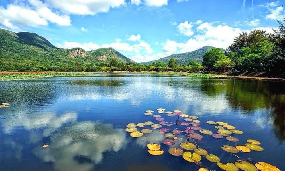 Hồ An Hải (Nguồn: Internet)